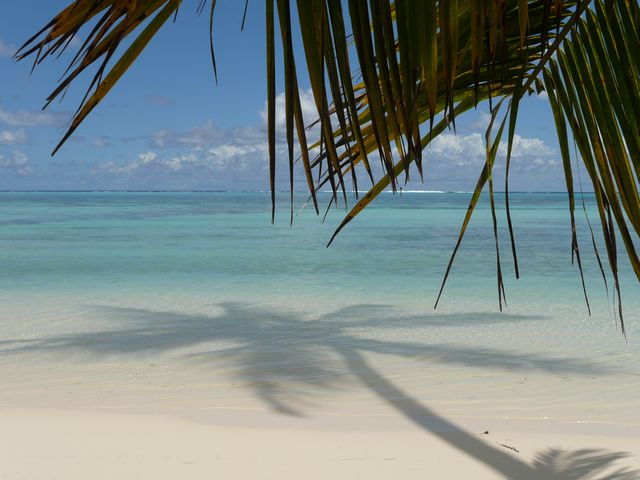 Strand in Moorea